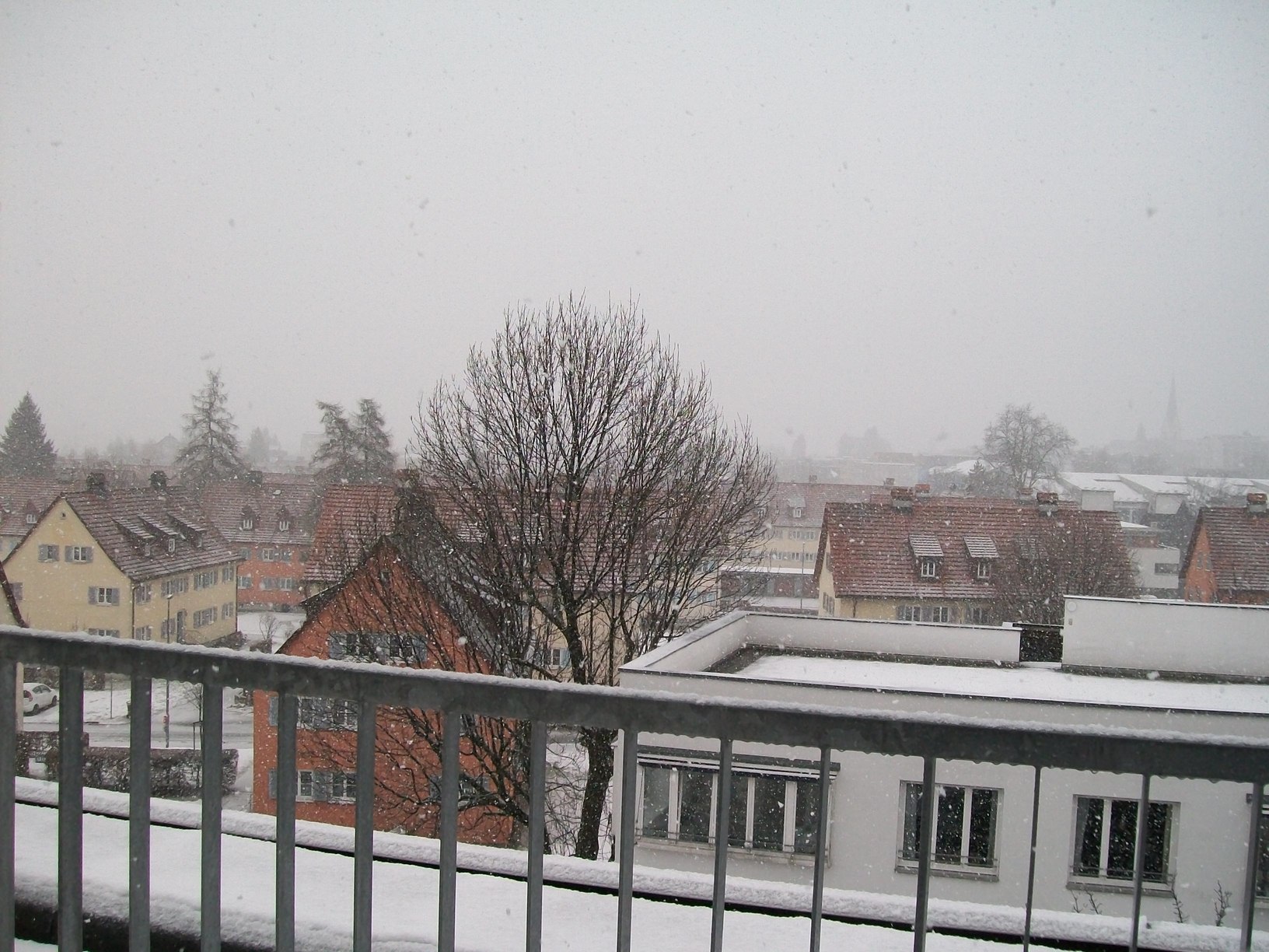 Snowing Dornbirn